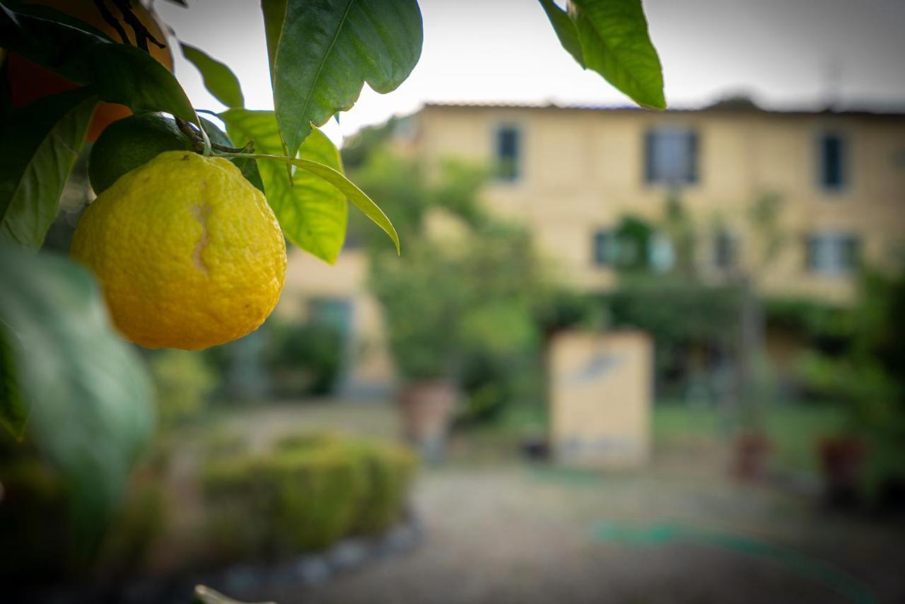 Villa Ape Rosa Relais Firenze Kültér fotó