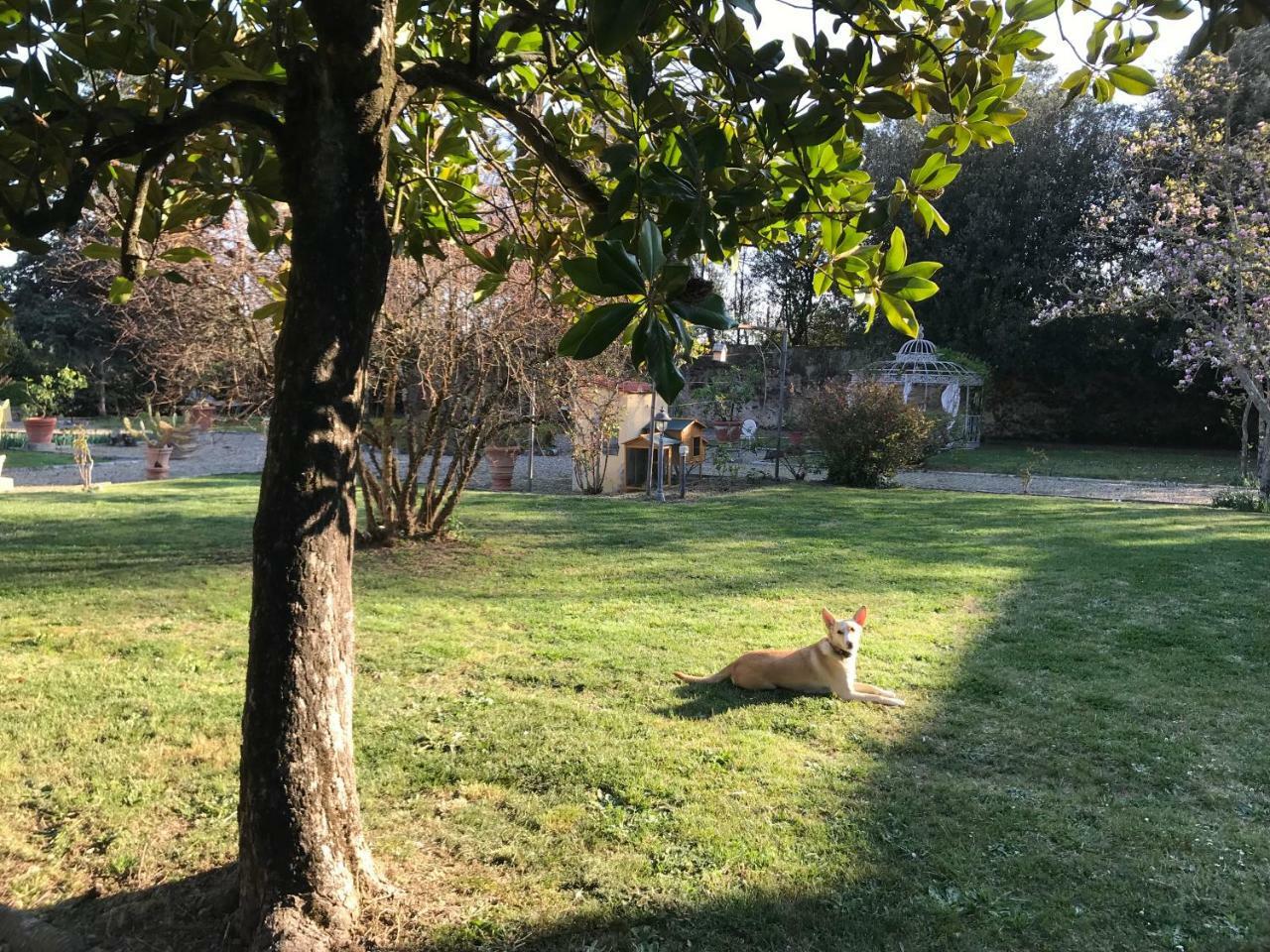 Villa Ape Rosa Relais Firenze Kültér fotó